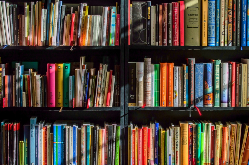 magasin-LES FERRES-min_books_bookstore_book_reading_shop_writer_sale_books_read-822866
